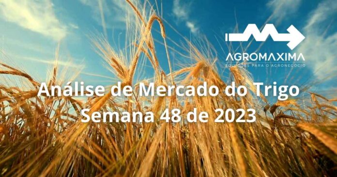 Análise de Mercado do Trigo: Semana 48 de 2023