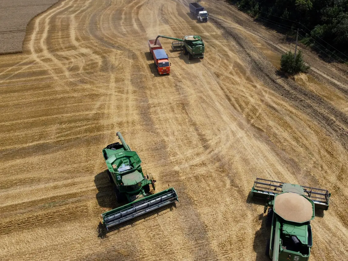 Colheita Global de Trigo 2023: Perspectivas e Análises – Uma Visão AgroMaxima