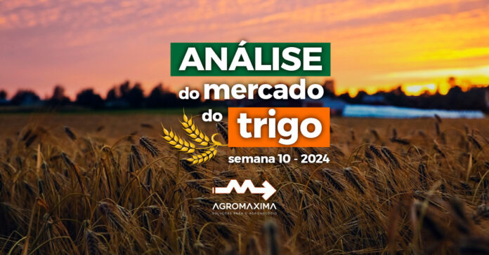 Análise do Mercado de Trigo - Semana 10 de 2024