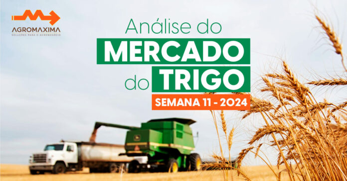 Análise Detalhada do Mercado de Trigo