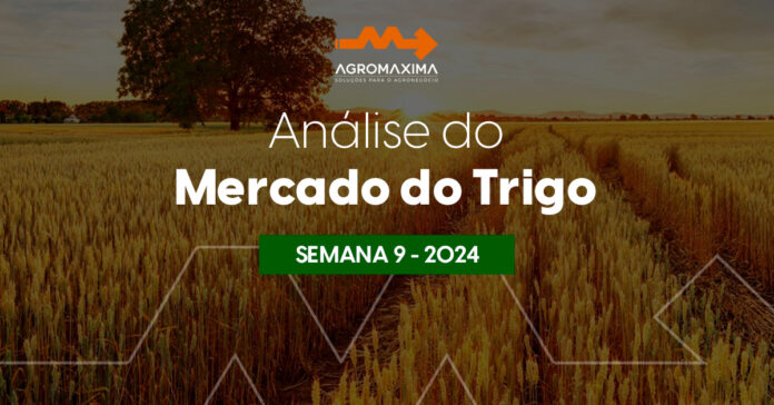 Relatório Semanal AgroMaxima: Mercado de Trigo