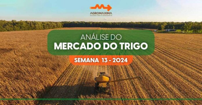 Mercado de Trigo - Semana 13 de 2024