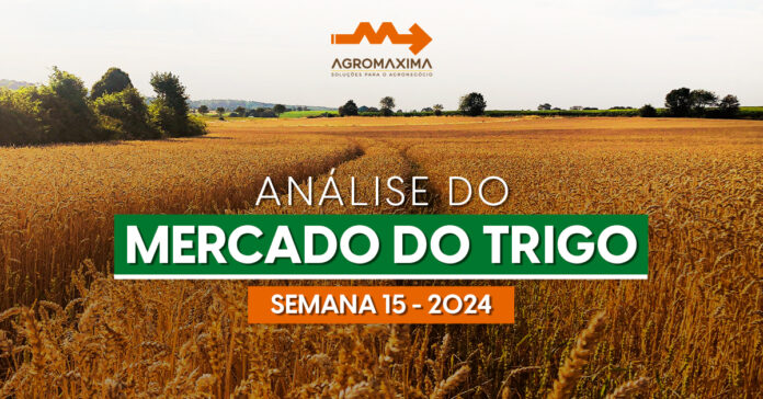 Análise e Perspectivas no Mercado de Trigo - Semana 15 de 2024