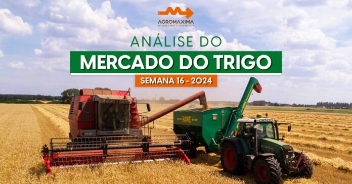 Mercado de Trigo - Semana 16 de 2024