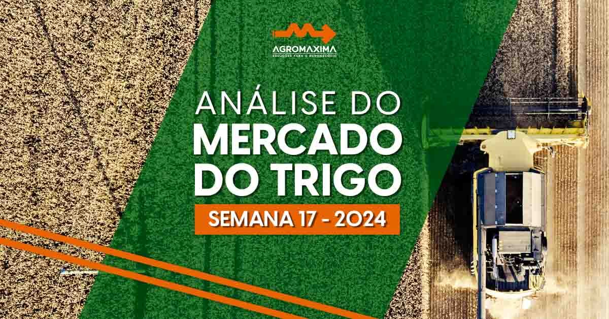 Mercado do Trigo