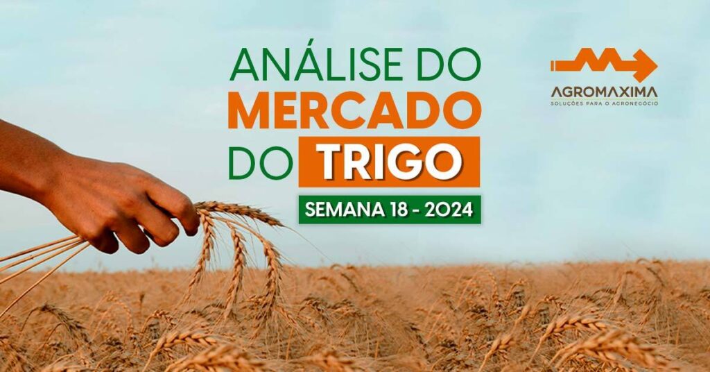 Mercado do trigo