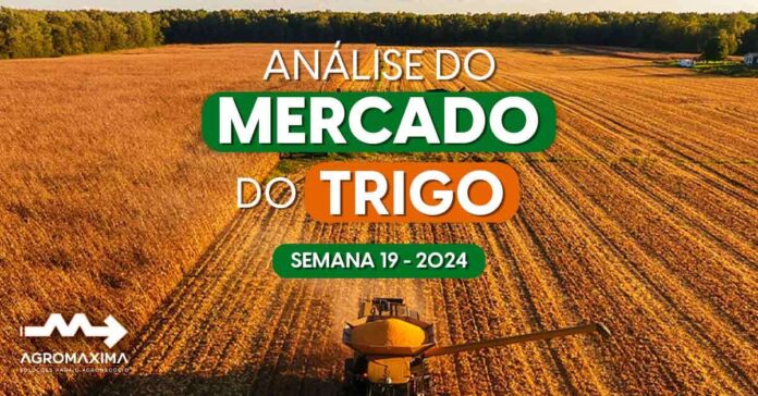 Mercado do Trigo