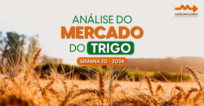 Mercado do Trigo