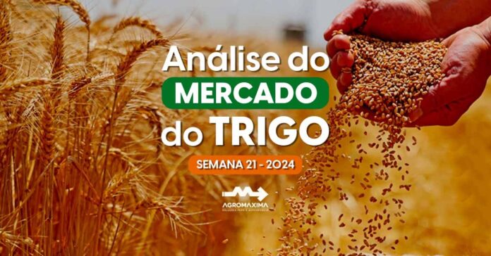 Mercado do Trigo