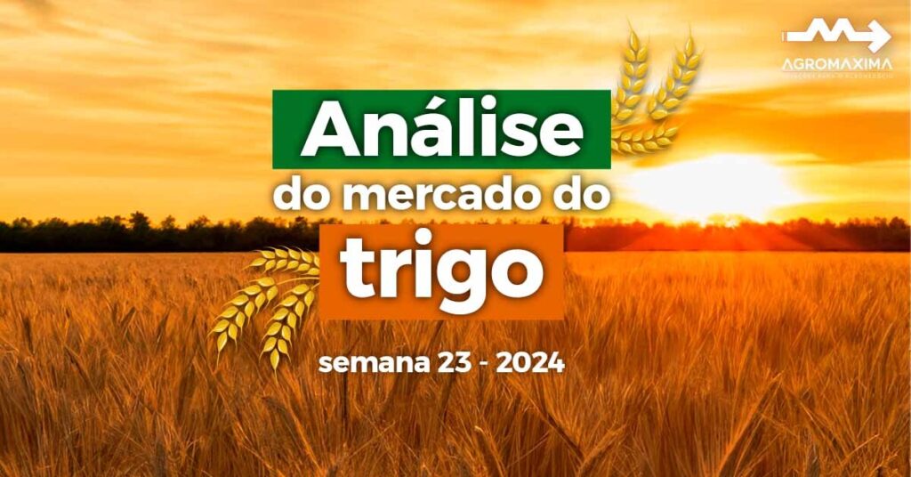 Mercado do Trigo