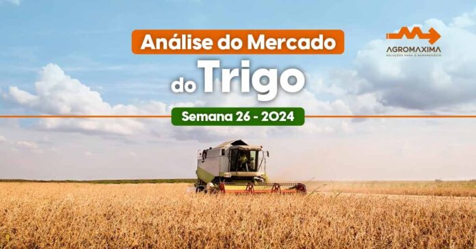 Mercado do trigo semana 26 de 2024