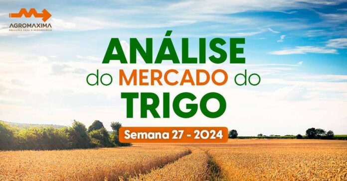 Relatório Semanal do Mercado do Trigo - Semana 27