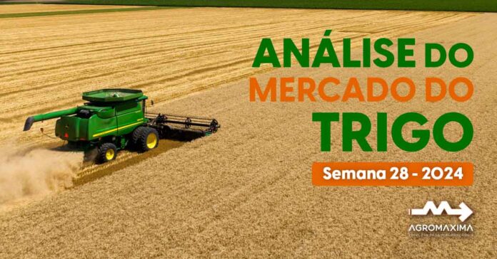 Relatório Semanal do Mercado do Trigo - Semana 28 de 2024