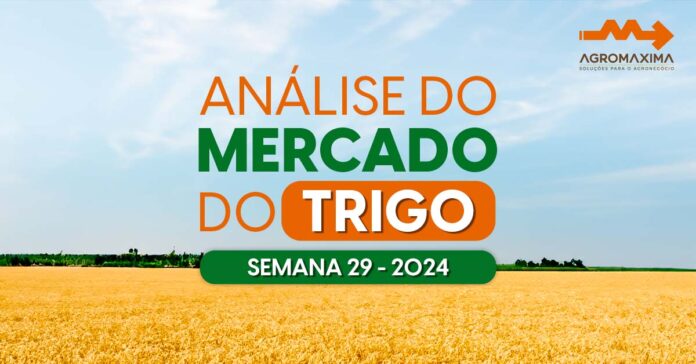 Mercado do Trigo