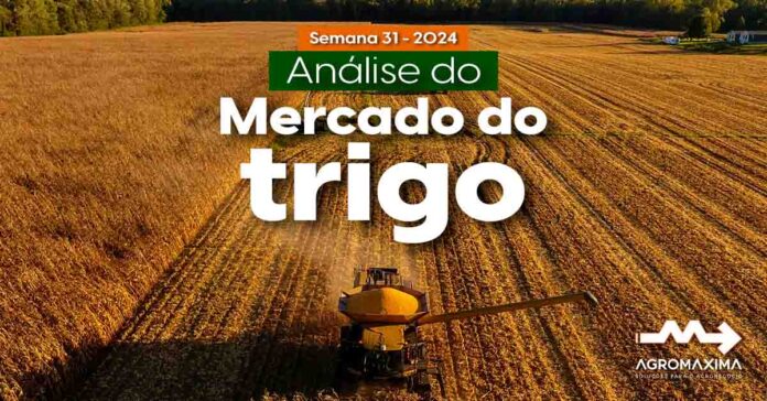 Mercado do Trigo