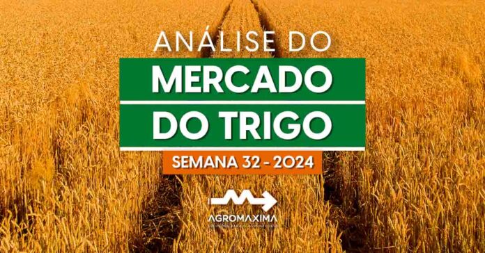 Mercado do Trigo