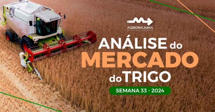 Relatório Semanal do Mercado do Trigo