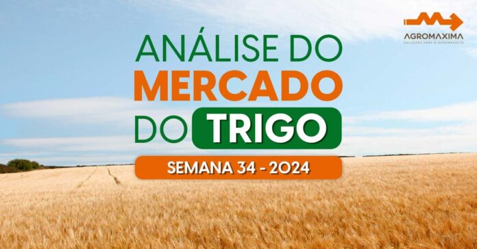 Mercado do Trigo