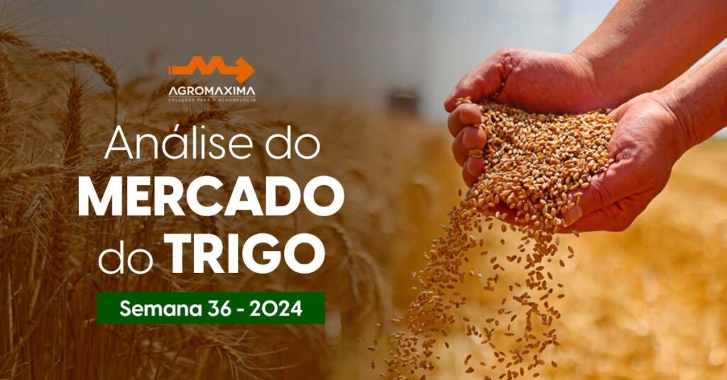 Mercado do Trigo