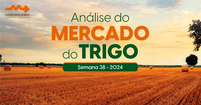 Mercado do Trigo