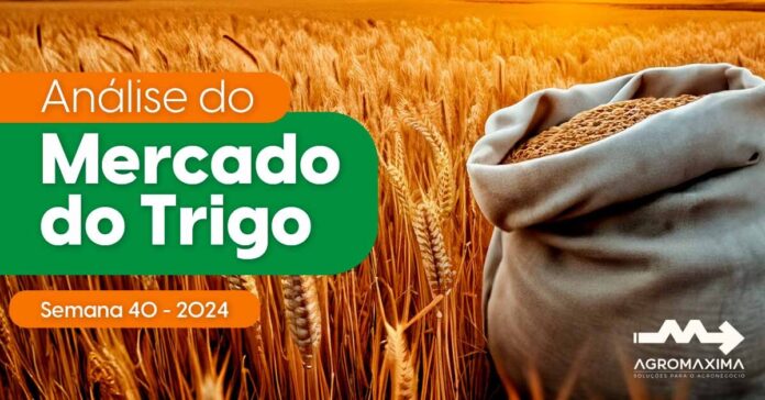 Mercado do trigo