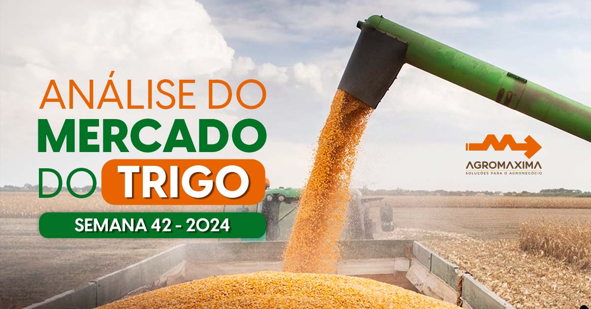 Mercado do trigo
