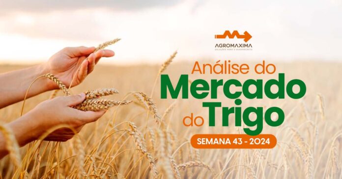 Mercado do Trigo