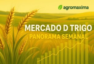 Mercado Do Trigo