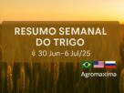 Resumo semanal do mercado do trigo