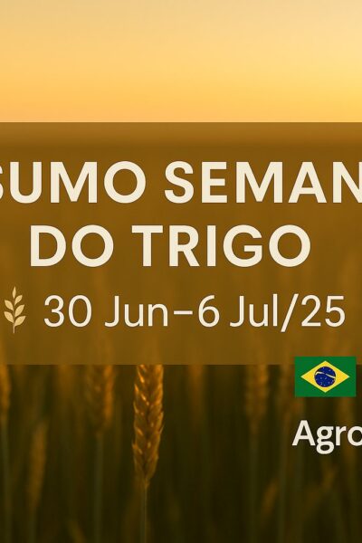 Resumo semanal do mercado do trigo