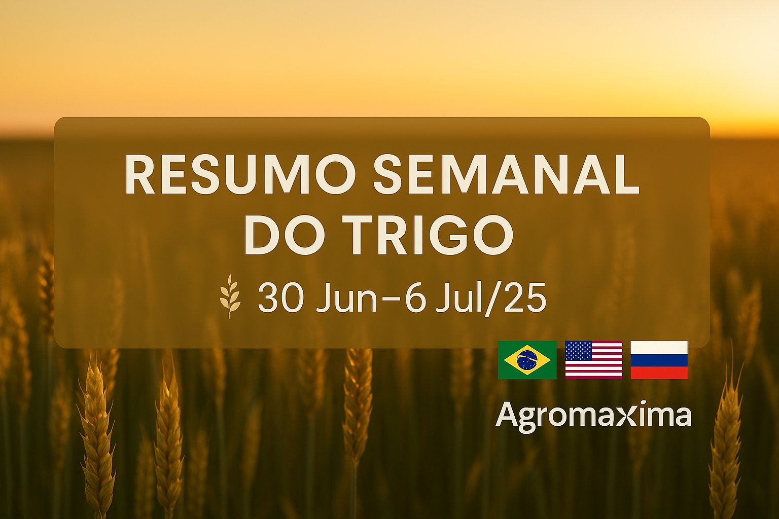 Resumo semanal do mercado do trigo