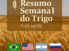 Mercado do Trigo