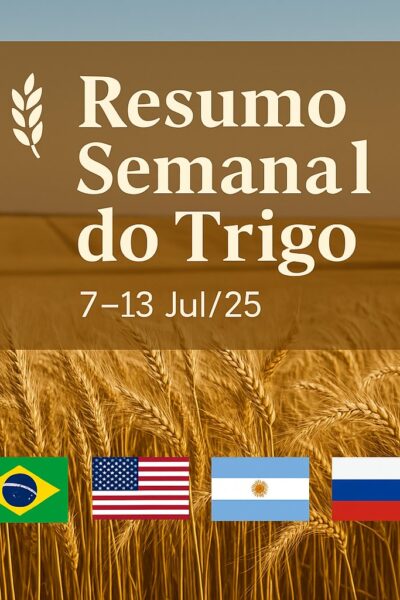 Mercado do Trigo