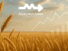Panorama Semanal do Trigo