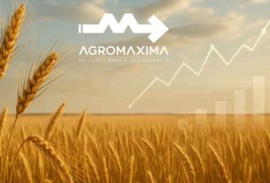 Panorama Semanal do Trigo