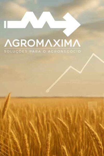 Panorama Semanal do Trigo