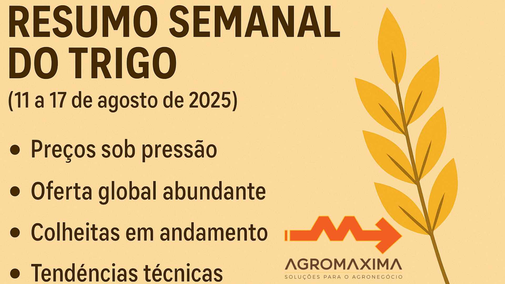Panorama Semanal do Trigo (11 a 17 de agosto de 2025)
