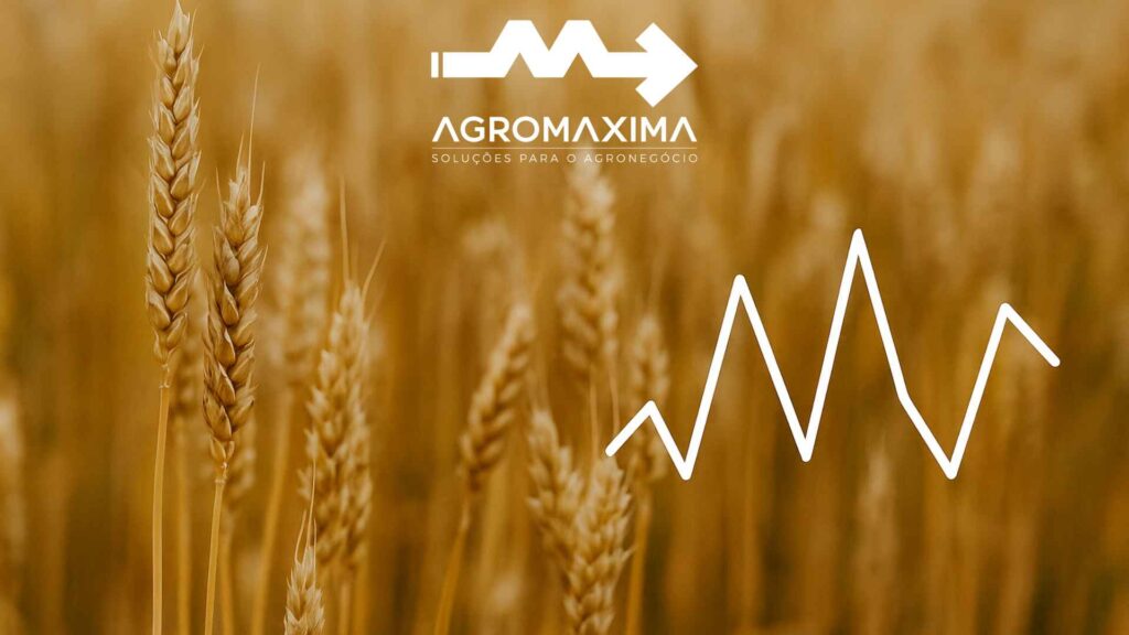 Resumo Semanal do Mercado de Trigo