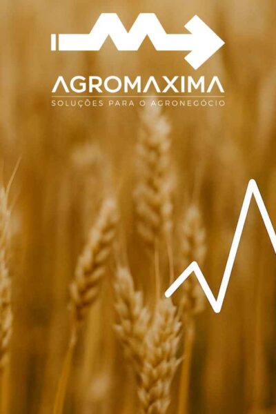 Resumo Semanal do Mercado de Trigo