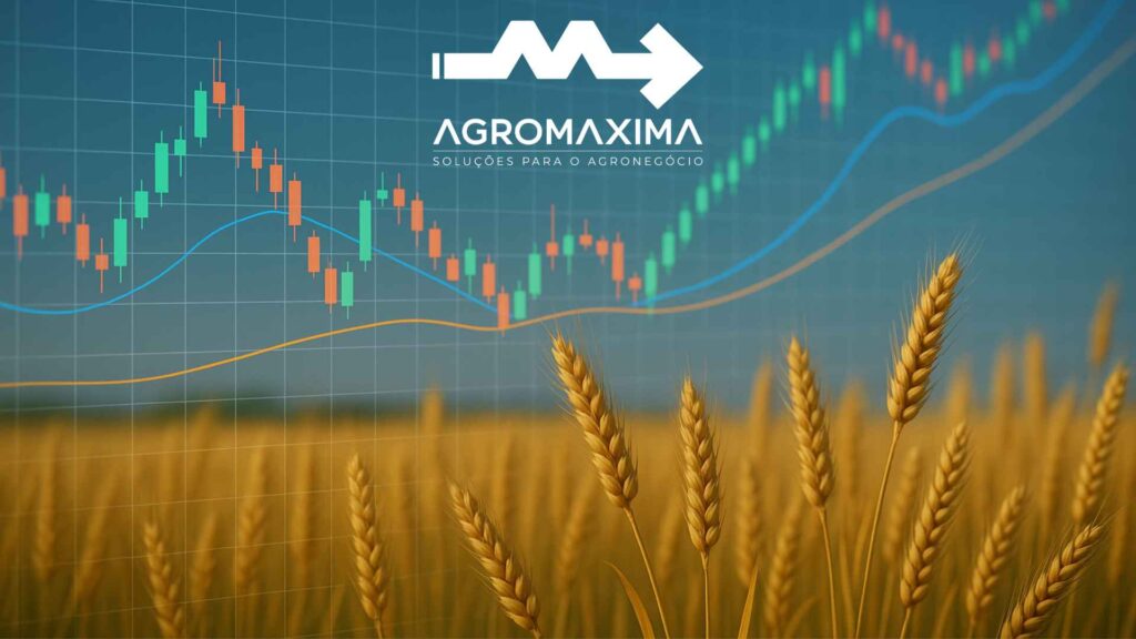 Relatório semanal do mercado do trigo