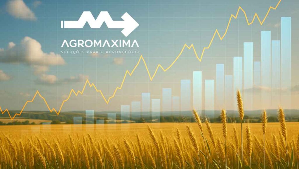 Resumo Semanal do Mercado do Trigo