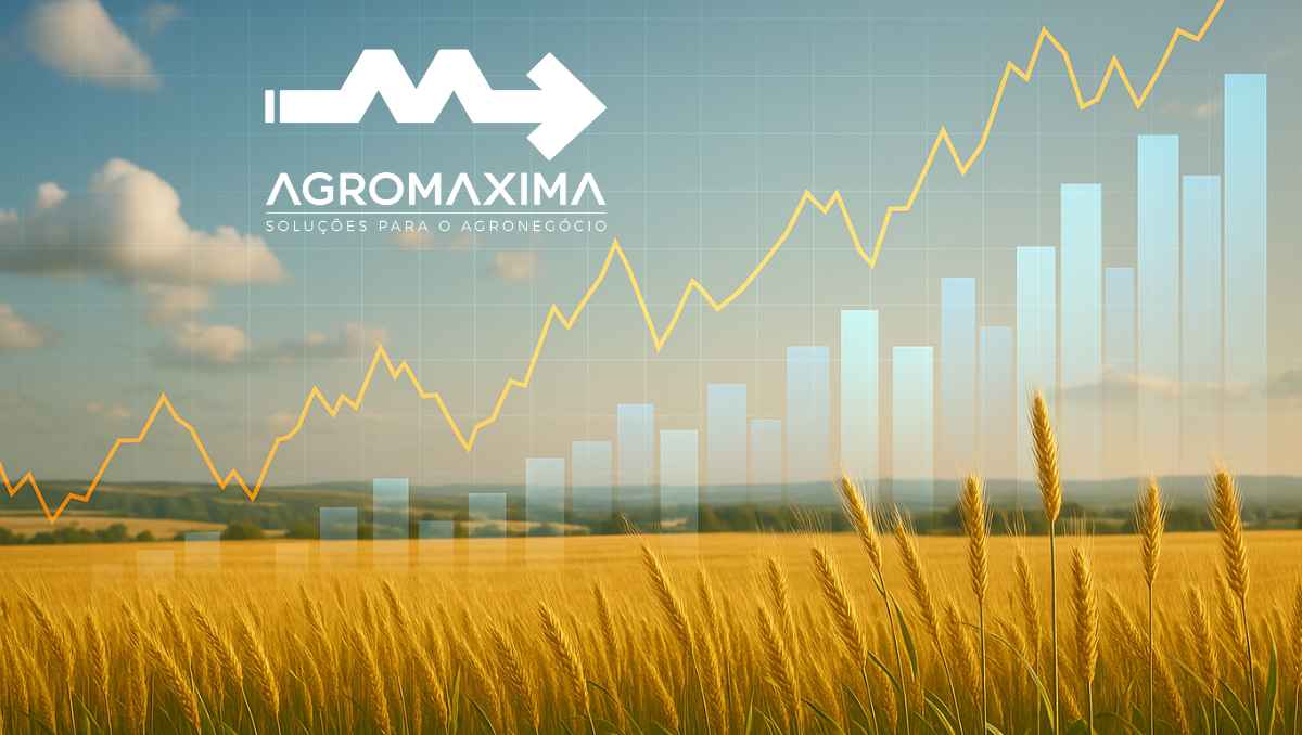 Resumo Semanal do Mercado do Trigo