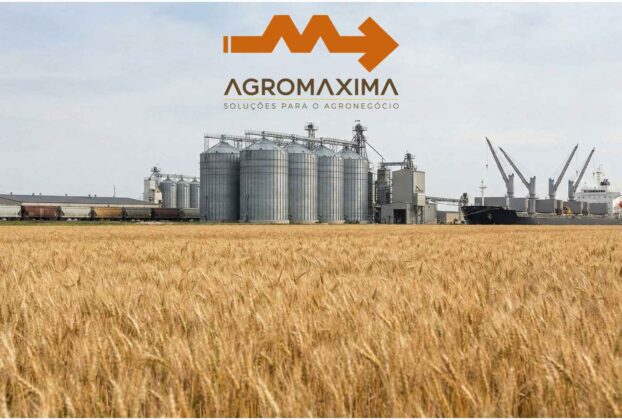 Mercado do Trigo: Brasil