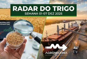 Mercado do trigo
