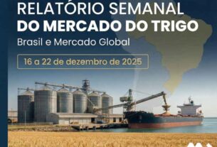 Relatório Semanal do Mercado do Trigo
