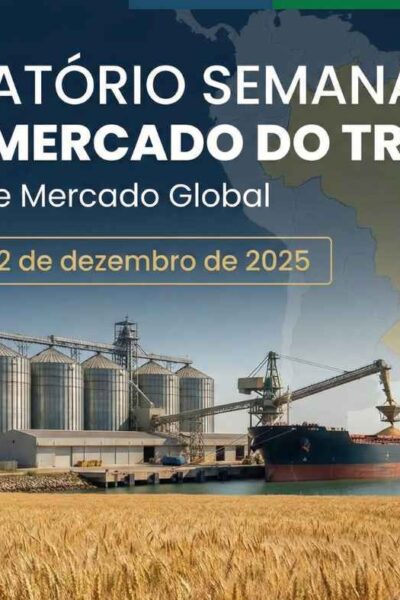 Relatório Semanal do Mercado do Trigo