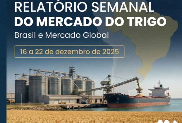 Relatório Semanal do Mercado do Trigo