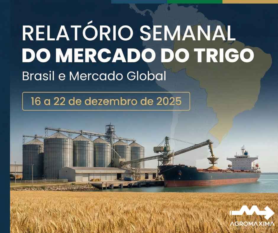 Relatório Semanal do Mercado do Trigo